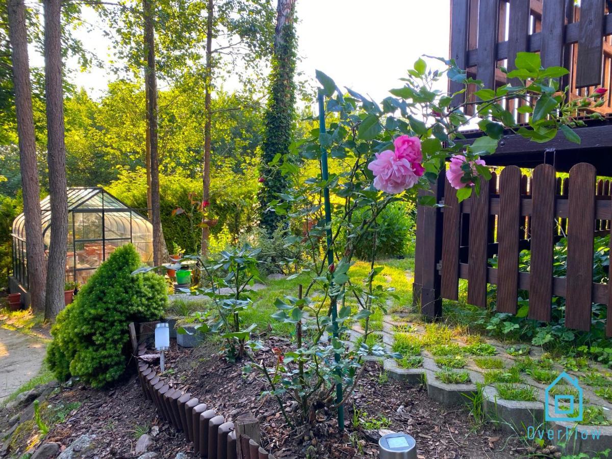 Holibobos Year Round Cottage In Kamien By The Lake Only 30 Minutes From Gdansk And Gdynia Exterior photo